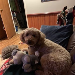 Meet your Posher, Patricia